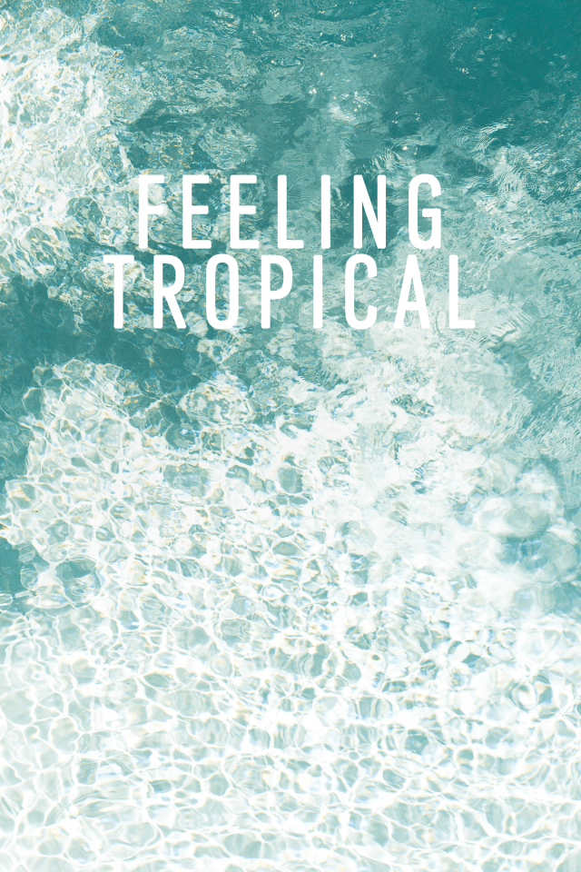 Poolside Cool: Our Summer Playlist on Spotify & Summer Quotes