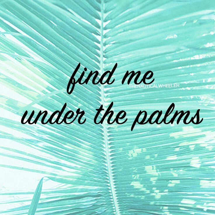 Find me under the palms