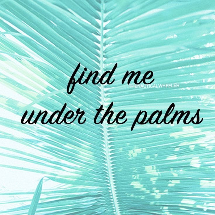 Palm Tree Quote