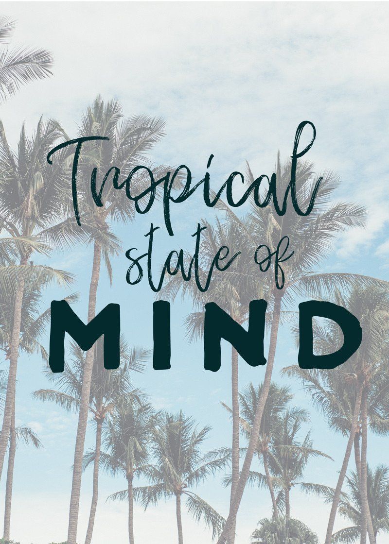 Tropical State of Mind