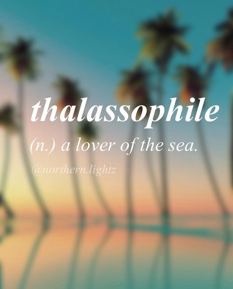 Uncommon Words & Definitions on Instagram: “Take me to the beach 🌊”