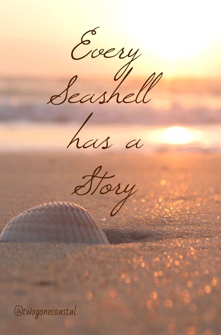 Every Seashell has a Story…collect sea shells from every beach… so far I hav…