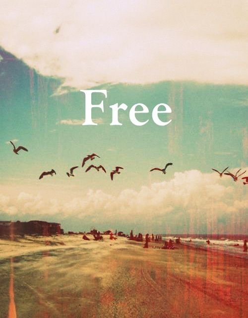 Free… like a bird.