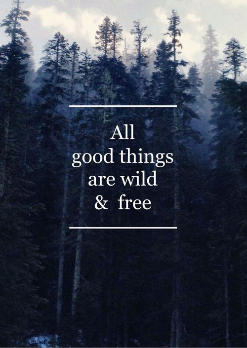 All good things are wild and free – travel quote #travel #quotes